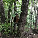 ���� ���������, �������� - ��������� 5 ���� 2017 � ������ ����������� 2017�