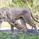 ���� ��������, ������ - ��������� 12 ���� 2017 � ������ ������ ��������
