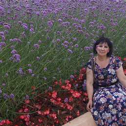 ��������, ����������, 59 ���