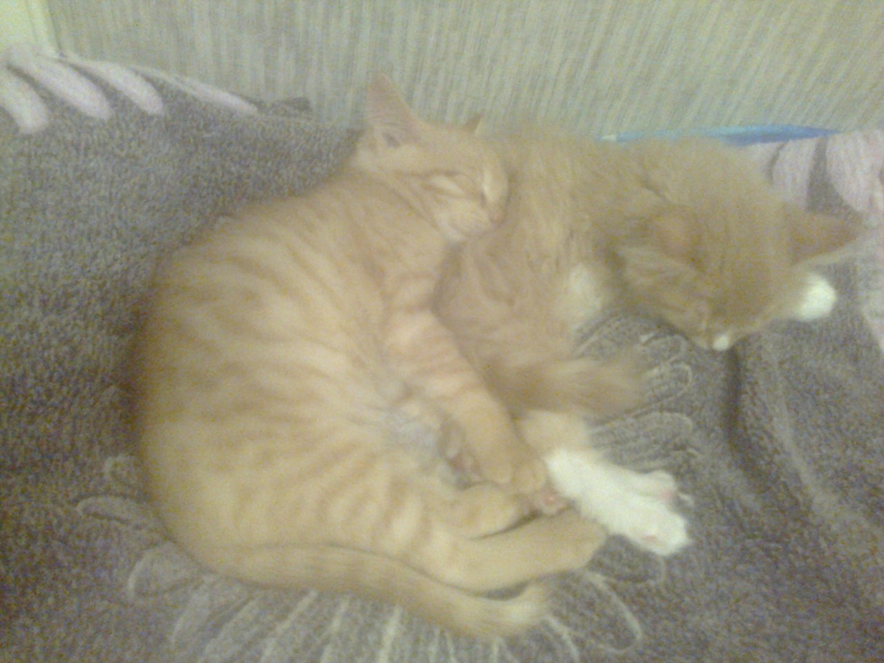 #_. .       - 7 .   , ...