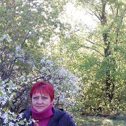 ���� �����, ������, 63 ���� - ��������� 15 ��� 2017