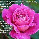  , -, 62  -  15  2017    