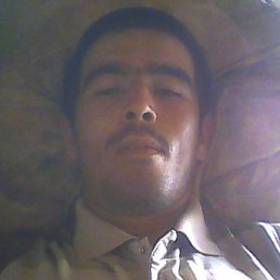 Sharifbek, �������, 33 ����