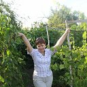 ���� �������, ��������, 62 ���� - ��������� 30 ������� 2017 � ������ �Avataria�