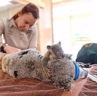 Нет большего счастья на всем белом свете,чем любящий муж и здоровые дети!