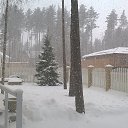 ���� �������, �����, 48 ��� - ��������� 19 ������ 2017 � ������ ���� ����������