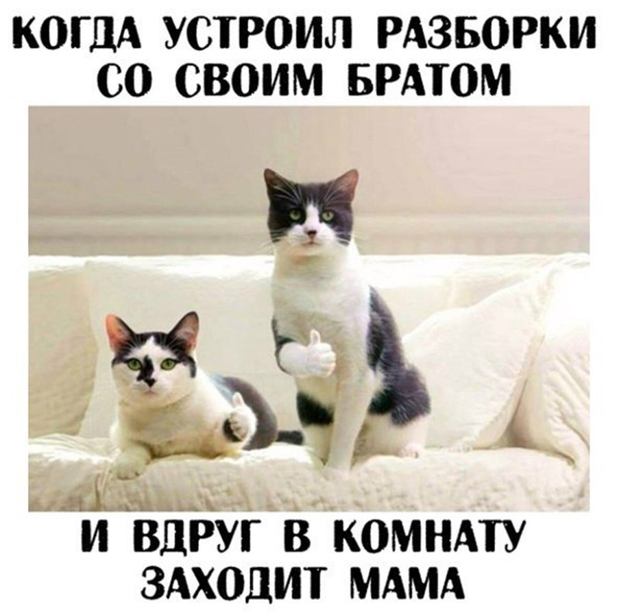 About different ! - 11  2017  21:28