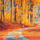 ���� ���������, ������������, 59 ��� - ��������� 18 ������ 2017 � ������ ���� ����������