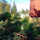 ���� ��������, �����-���������, 67 ��� - ��������� 30 ������� 2017 � ������ ���� ����������