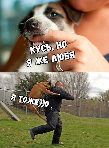    :D - 5  2017  03:31