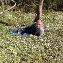 ���� �����, �����-���������, 52 ���� - ��������� 28 ��� 2017 � ������ ���� ����������