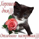 ���� �������, ���� - ��������� 2 ���� 2017 � ������ ������ ��������