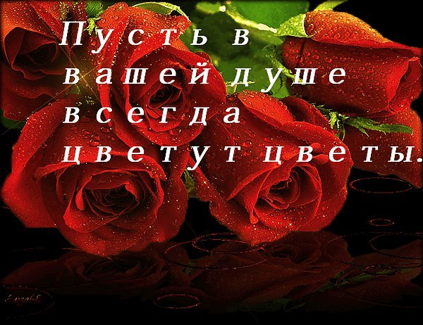 Доброе утро. Хорошего, солнечного дня. https://i10.fotocdn.net/s27/63/public_pi...971198.jpg ОБОЙДИ ...