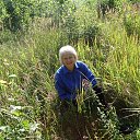 ���� 2017 �� ������� ���� ����������