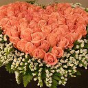 ������� �������!!!! �� ������� ���� ����������