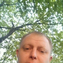 �������, �������, 40 ���