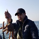 ���� ������, �����������, 39 ��� - ��������� 30 ������� 2017 � ������ ���� ����������