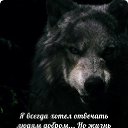 ���� ��������, ����������, 67 ��� - ��������� 9 ��� 2017 � ������ ������ ��������