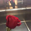 ���� ���� �, �����-���������, 54 ���� - ��������� 6 ������� 2017 � ������ ���� ����������