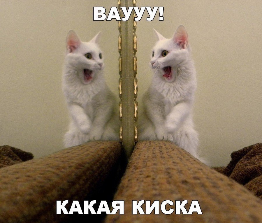 ☆������ �����☆ - 5 ������ 2017 � 03:26