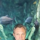 ���� ��������, �����, 62 ���� - ��������� 5 ���� 2017 � ������ ���� ����������