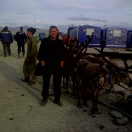 ��������, 54 ����, �����������