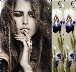 �����������