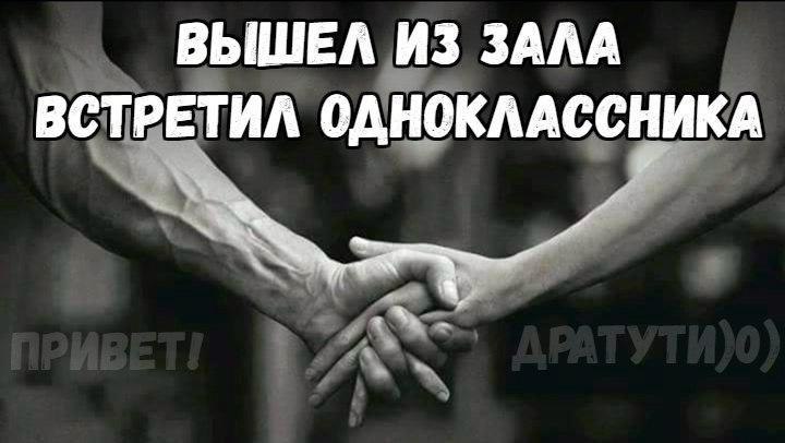 SportFeed - 29  2017  03:37