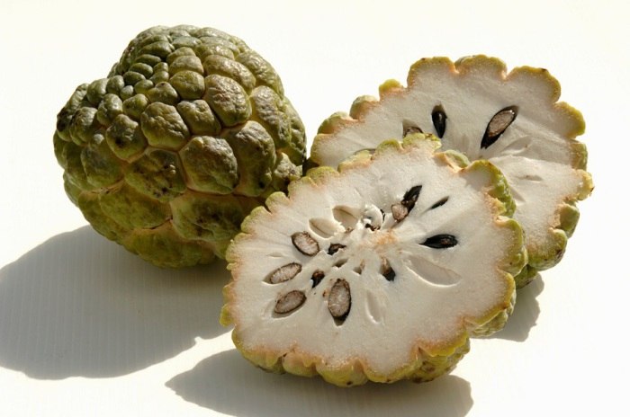 6.    Sweetsop.  - ,     