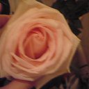 ���� ����, ������� - ��������� 30 ������� 2017 � ������ ���� ����������