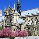 ���� Alex261163, ��������, 62 ���� - ��������� 28 ������ 2017 � ������ ���� ����������