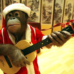 ���� ����, ���� - ��������� 27 ������� 2017