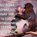 ���� �������, �������, 60 ��� - ��������� 23 ��� 2017 � ������ ������ ��������