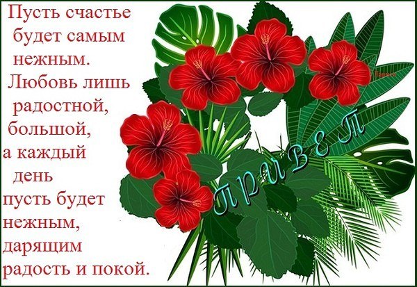 ����� � ������� - 16 ���� 2017 � 08:05