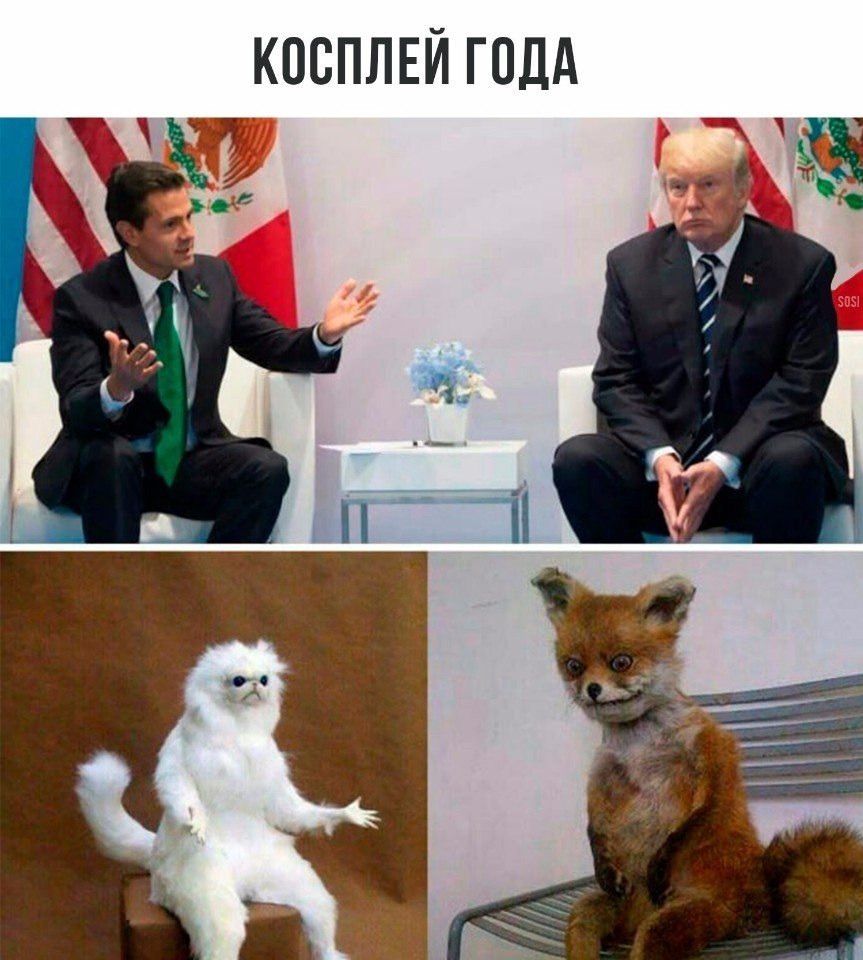   - 13  2017  15:20