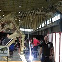 ���� �����, ����, 39 ��� - ��������� 7 ������ 2017 � ������ ������ ��������