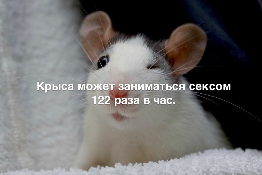 !!!!!!!)))))  !)))))