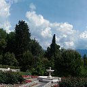  , , 60  -  17  2017      ,17.05.17.