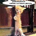 ���� ���, ������� - ��������� 27 ��� 2017 � ������ ���� ����������