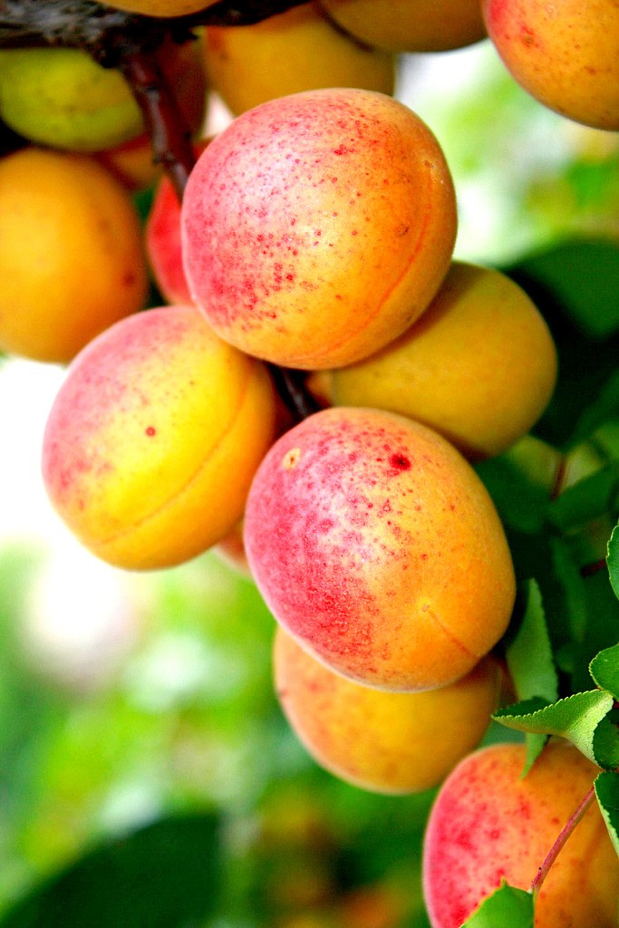 ���� ����