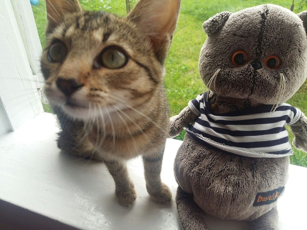 #�������_�����.���� ������������� ������� ��� ������ �� ����� �� ��������� ������� � ���������� ... - 3