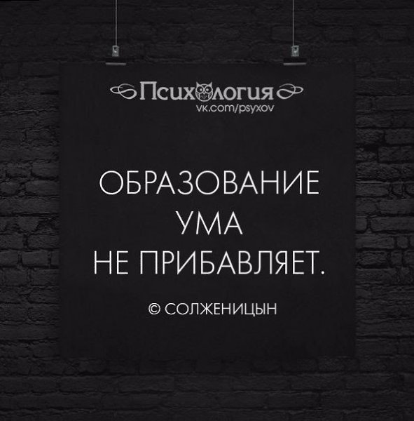 Выражение ума. Образование не показатель ума цитаты. Высшее образование не показатель ума цитата. Фразы про ум. Образование не признак ума.