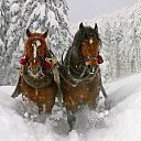 ���� ��������, ����, 52 ���� - ��������� 13 �������� 2017 � ������ �xl�