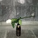 ���� Mitay, ������������, 38 ��� - ��������� 4 �������� 2017 � ������ ���� ����������