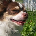 ���� �����, �����-���������, 57 ��� - ��������� 8 ���� 2017 � ������ �����������