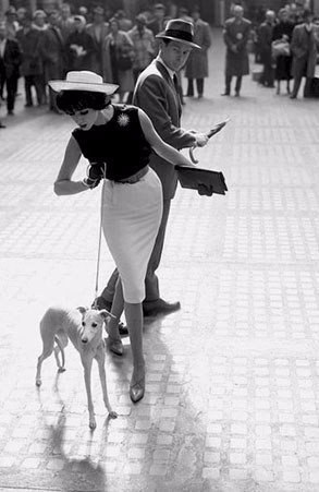   1950- . #@woman.blog