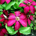 ���� ������, ������, 49 ��� - ��������� 10 ���� 2017 � ������ ������� Nikon�