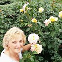  Antonina, , 55  -  16  2017   2017