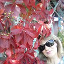  ,  , 63  -  17  2017    