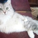 ���� �������, ������ - ��������� 21 ���� 2017 � ������ ���� ����������